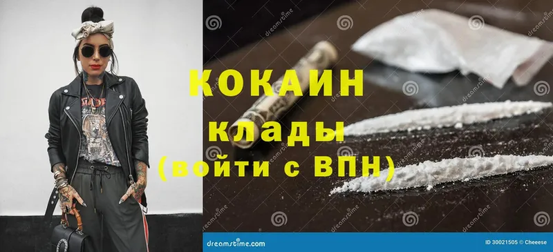 Cocaine FishScale  продажа наркотиков  Пудож 